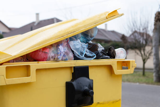 Best Construction Debris Removal  in Forest, VA